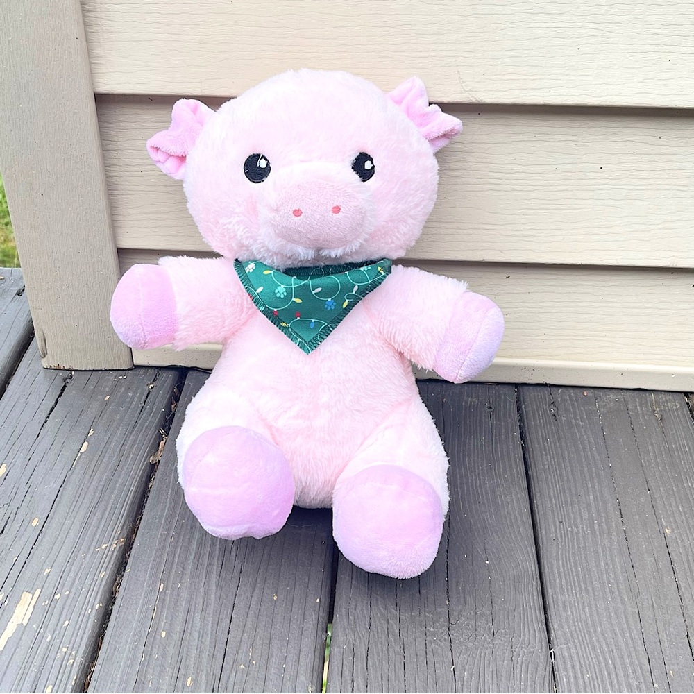 PetSmart Plush Dog Toy Pig Squeaker Stuffed Animal